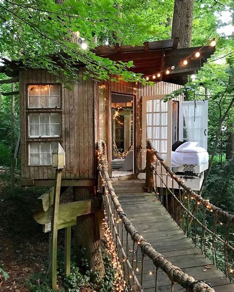 Find your own slice of paradise in a waterfront treehouse in a magical forest